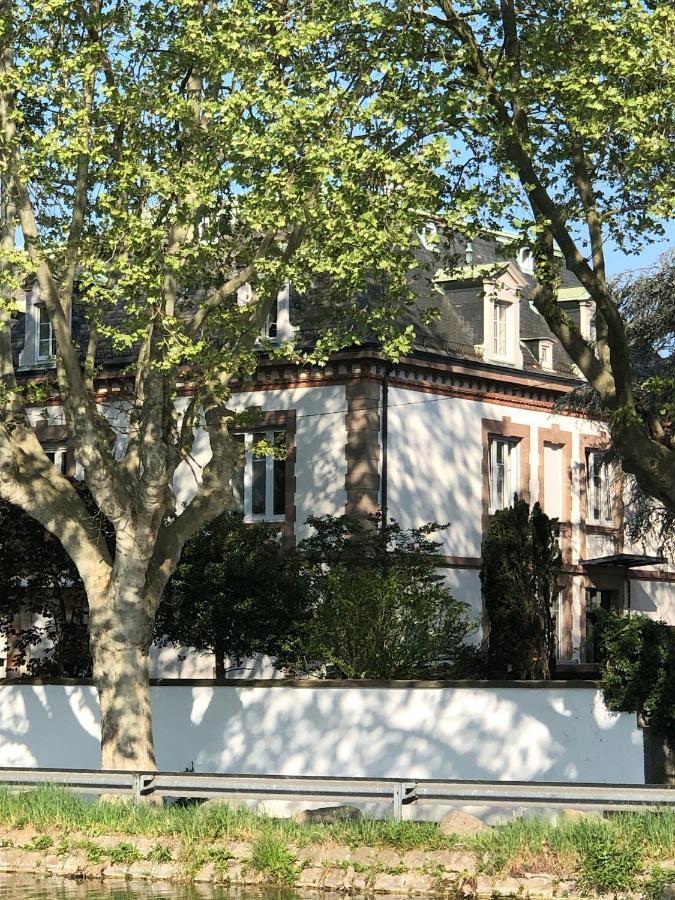 Logement Entier Proche Gare Et Centre Ville Daire Mulhouse Dış mekan fotoğraf